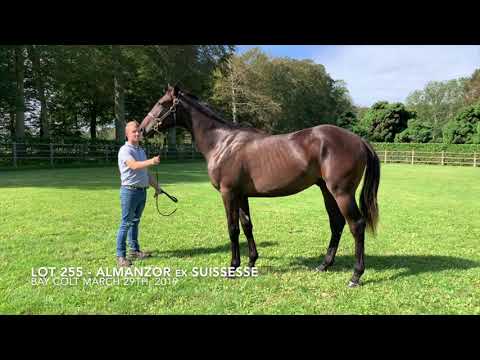 2020 Deauville Select Sale - Lot 255 c.ALMANZOR x SUISSESSE