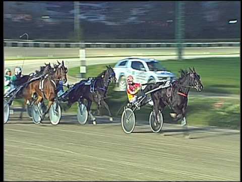 Trotto 13/11/2016 - 5ª corsa