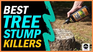 5 Best Tree Stump Killers - How To Get Rid of a Tree Stump Fast and Easy