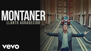 Ricardo Montaner - Llanto Agradecido (Cover Audio)