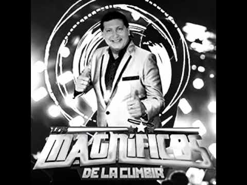 Cadena de flores Carlos palomino (guinda)