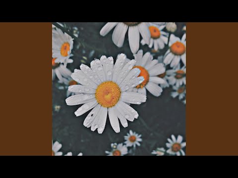 One Step Closer (Rain Version)