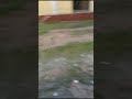 Lagi Aaj Swan Ki Lofi Reverb Kumarsanu Lofiworldajay