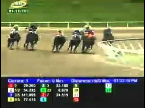 LA RINCONADA 3 CARRERA, DOMINGO 01 DE NOVIEMBRE DEL 2015