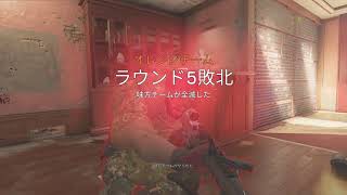 初心者が頑張る！
