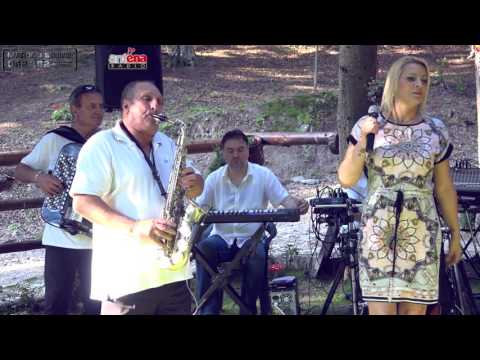 Zeljoteka, Orkestar Slobe Lekica (Nena Todorovic) - Senke, Vila Reset 2017