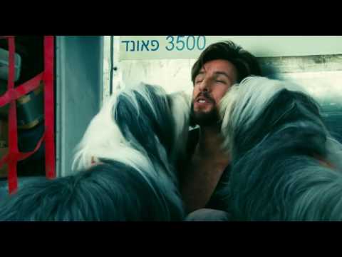 How funny! Dog and man changed hairstyle together