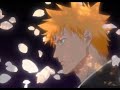 Bleach Ending 10 Sakura Biyori By Mai Hoshimura Eng And Rom Sub