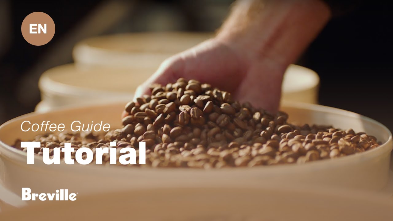Breville coffee guide tutorial - Choosing the right beans
