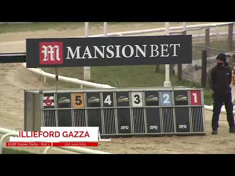 Killieford Gazza - BGBF British Bred Maiden Derby - Heat 4