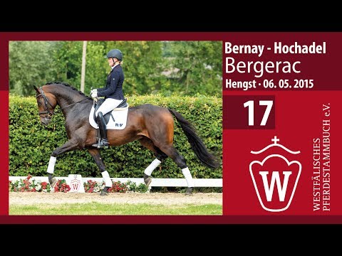 17 Bergerac  Hengst v. Bernay - Hochadel