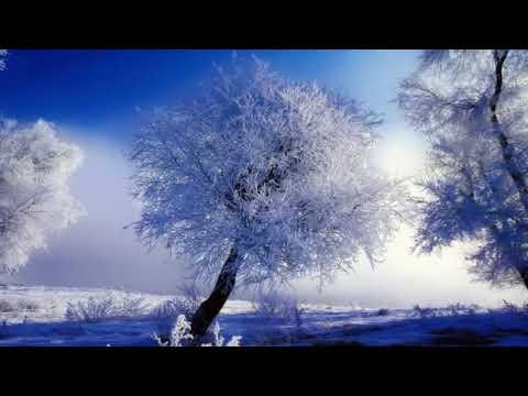 IOAN BRIE TOHANEAN- VIN COLINDATORII (VERSURI RADU GYR)