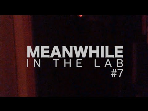 WERMONSTER - Meanwhile in the lab #7