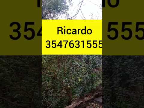 Mañana en La Rancherita, valle de Parabachasca, Córdoba, Argentina