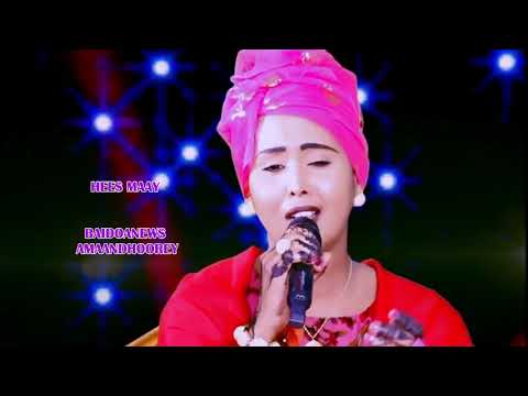 HEES MAAY CODKII IDIL CADOW