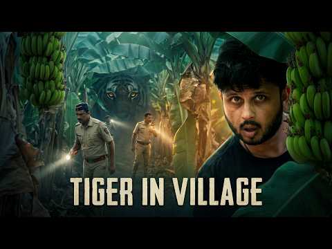 Tiger in Village