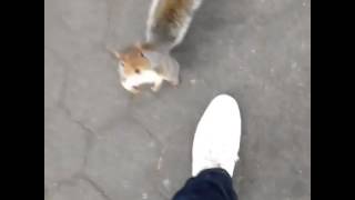 Download lagu JEROME JARREs Vine I am done speaking with squirrels By JEROME JARRE Best Vine 2014 mp3