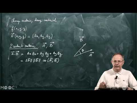 Scalar and vector fields, scalar product