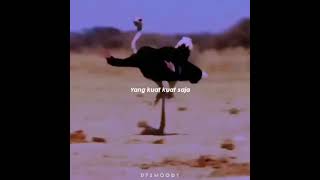 Download lagu STATUS WA LUCU | SNAP WA LUCU NGAKAK TERBARU 2020 mp3