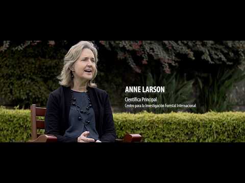 ¿De quién son las tierras forestales en Perú?