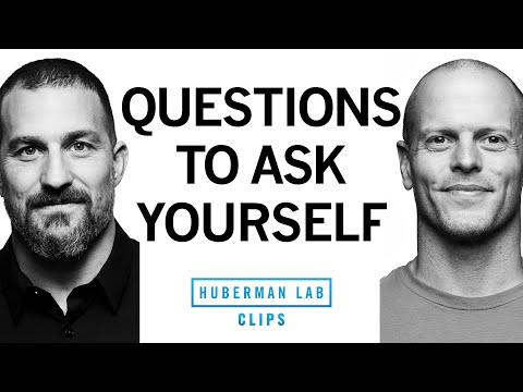Important Questions to Ask Yourself | Tim Ferriss & Dr. Andrew Huberman