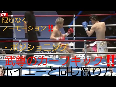 【一分解説‼️】武尊選手のカーフキックはポイエーと同じ‼️