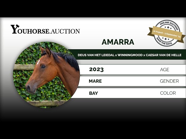 Amarra