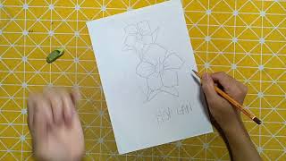 Nguyễn Kiên Handmade | Hôm nay mình sẽ hướng dẫn cho mọi người vẽ  bông hoa lan bằng giấy