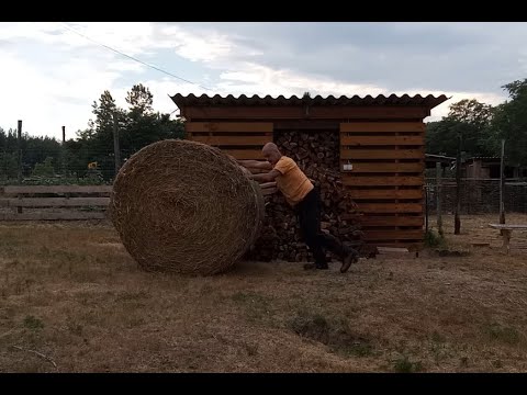 Mélymulcs 12. - Vizsgálat a mulcs mélyén, Gazalás, Árnyékolás, Földi Bolha?