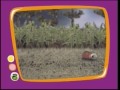 PBS Kids Zapping TV Spot The Talking Tree 2001