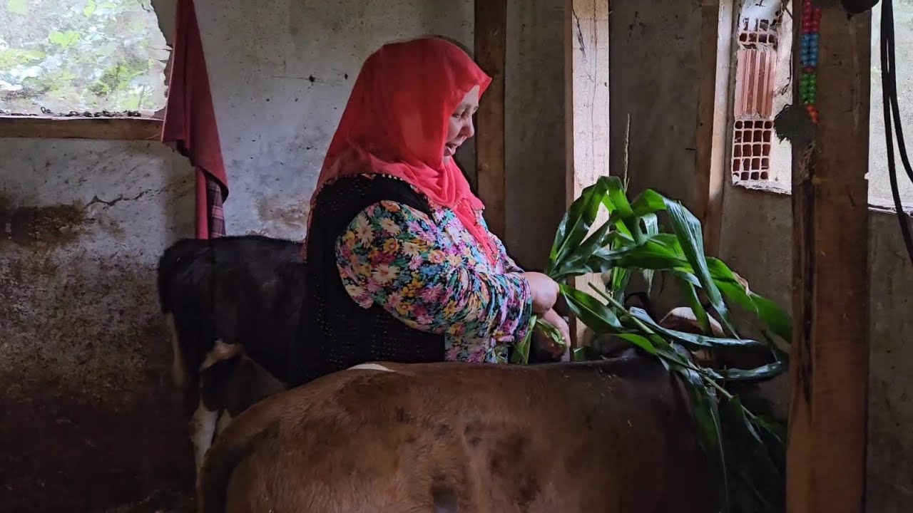 ‼️BİZİM PAŞALARA SEÇİRLER FİYAT BİÇEMEDİ‼️