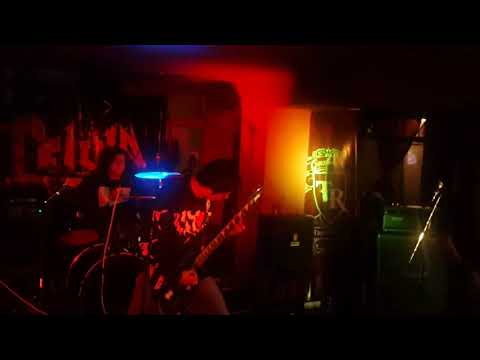 SxRxT - parásito social