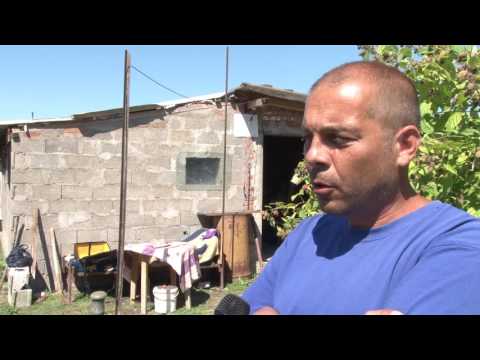 Josip Stanković iz Štitara gaji kumrije