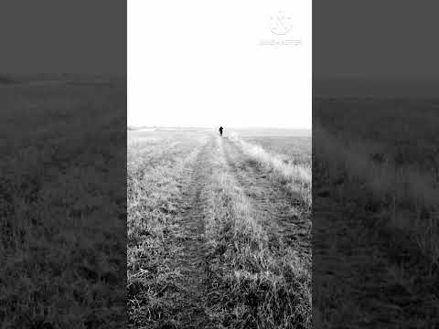 Madalin Luca - pan flute - If You Go Away by Jacques Brel