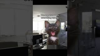 Different work colleagues memee #funny #memes #funnyanimals #office