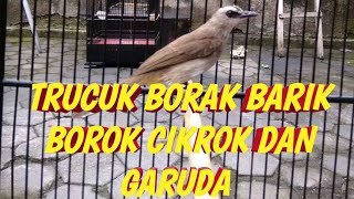 Download lagu trucuk borak barik borok cikrok dan garuda mp3