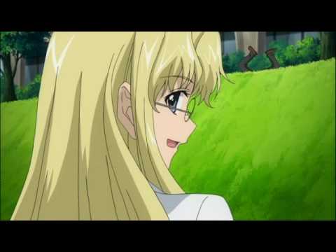 ナイロンストッキングとチコリから作られたペットボトル