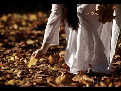 Lá úa Sheet - Xuân Phú