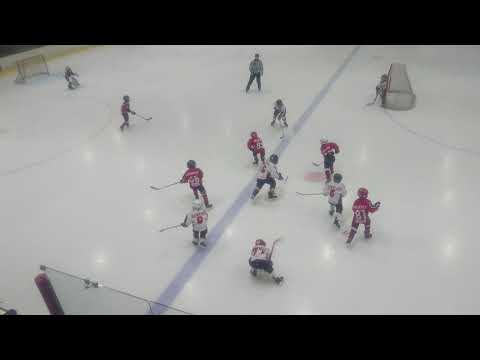 HC VIPERS RED VS HC VIPERS WHITE 07.11.2018.