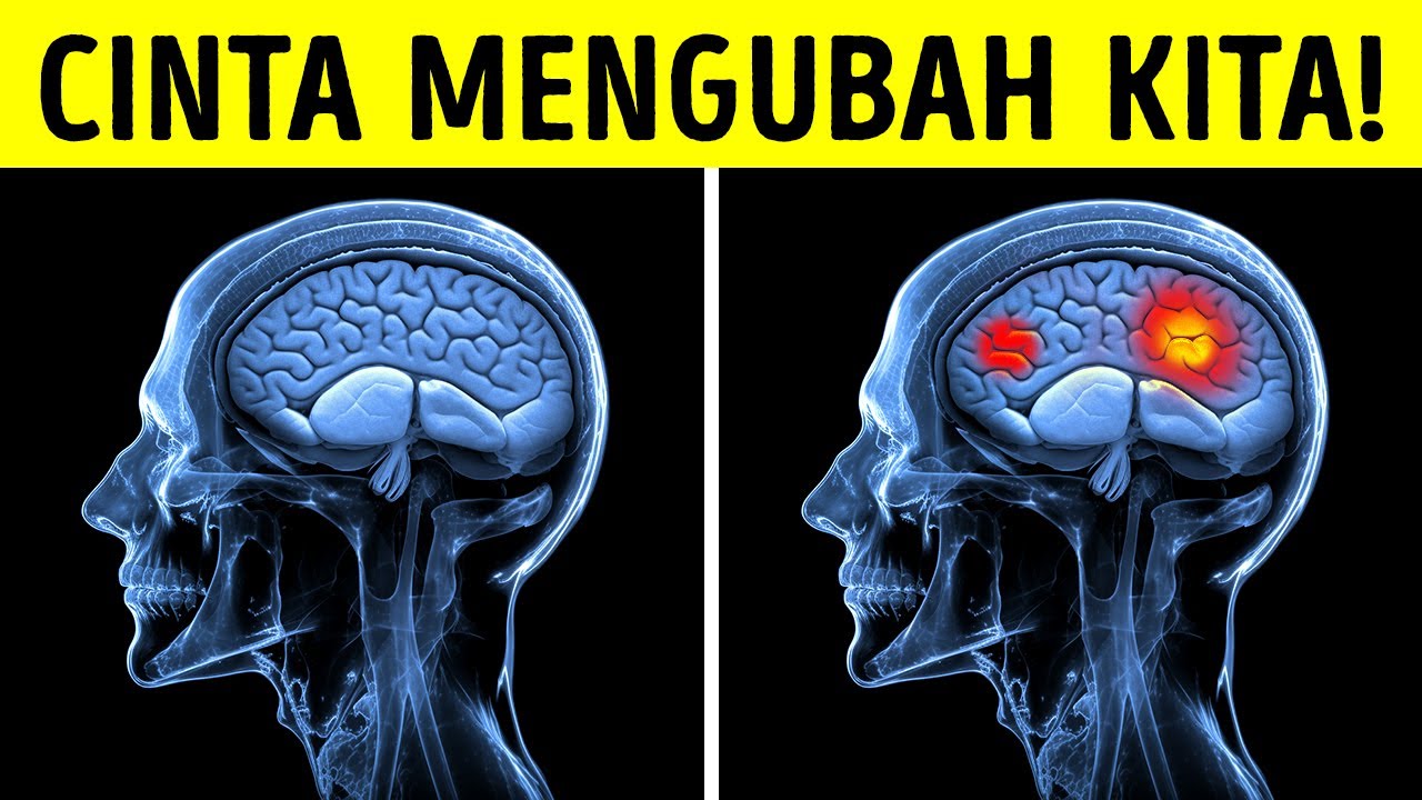 Hormon Cinta: Sesuatu yang Membuat Kamu Jatuh Cinta