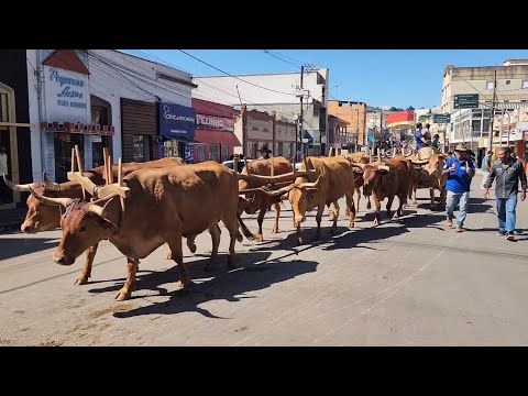 ENCONTRO DE CARREIROS EM CAMPESTRE MG