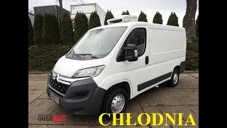Citroen JUMPER FURGON CHŁODNIA  -5*C LEDY KLIMATYZACJA  130KM [ 867911 ] koelwagen | Foto 4 - Autoline