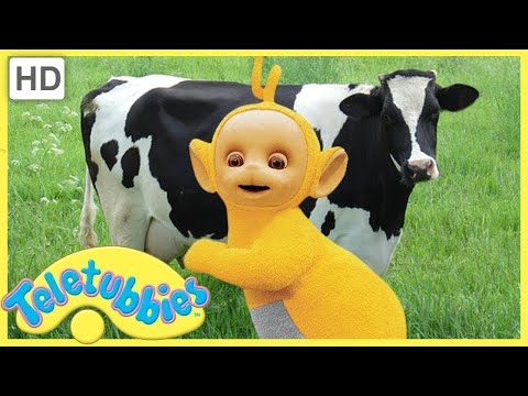 Milking Cows - Teletubbies English Full Episodes (S06E136)