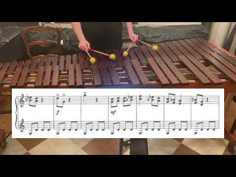 Nebojsa Jovan Zivkovic - Kampf der Samurai