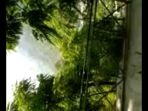 Othie darar natural beauty.mp4