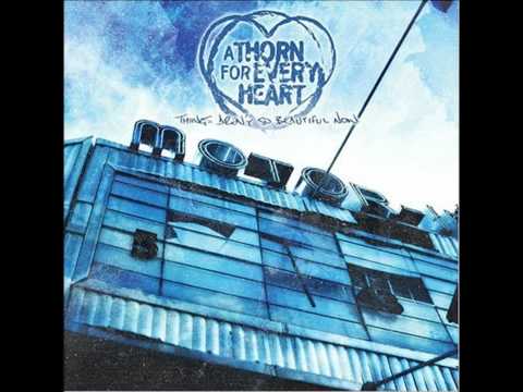 A thorn for every heart - Things aren't so beautiful now [part 2]