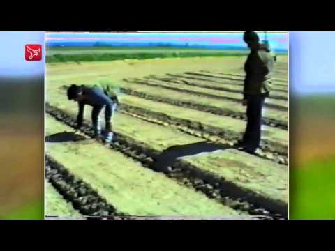 Blik op Toen van 09-12-2014