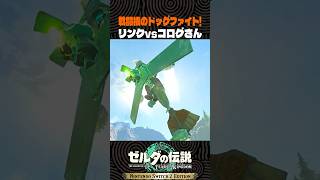戦闘機の空中戦で勝負するリンクとコログさん【ゼルダの伝説 ティアキン】