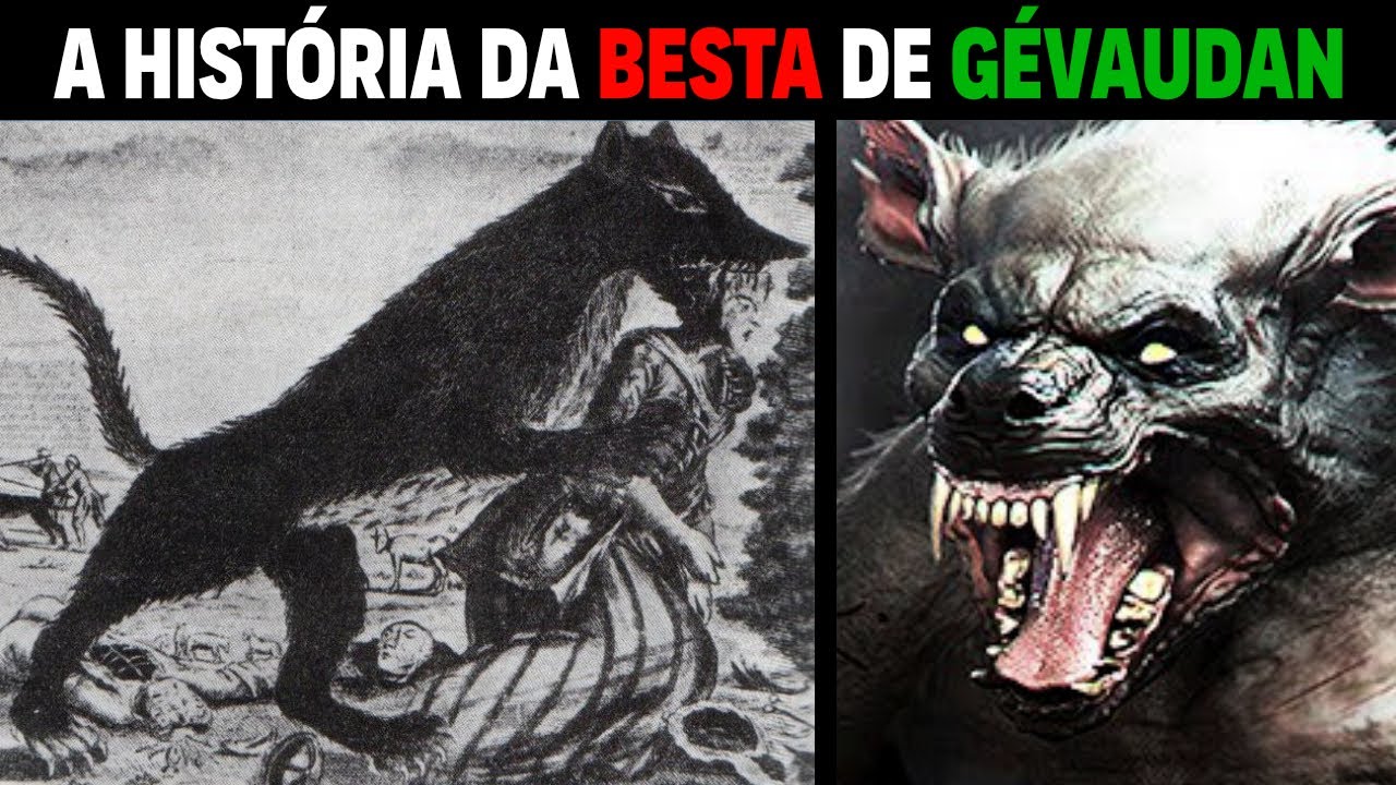 THE BEAST GÉVAUDAN - Wolf, hyena or an extinct animal?