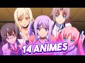 14 ANIMES HAREM A VOIR ABSOLUMENT